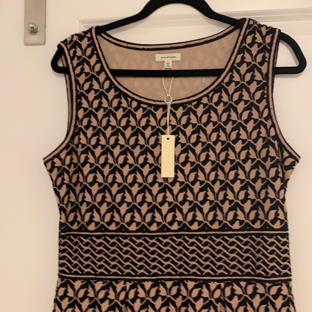Dress.   MAX STUDIO